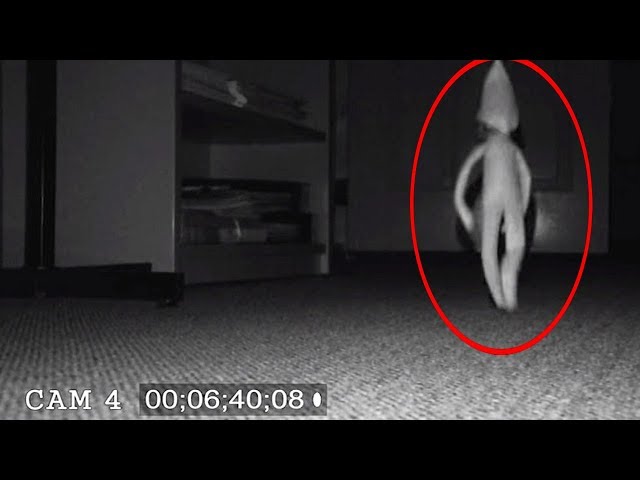 18 'Real-Life' Gnome Sightings Caught on Camera